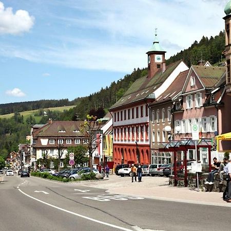 H-Apartment 1 Triberg im Schwarzwald Екстериор снимка