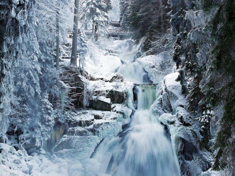 H-Apartment 1 Triberg im Schwarzwald Екстериор снимка