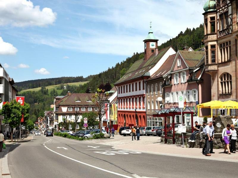 H-Apartment 1 Triberg im Schwarzwald Екстериор снимка